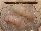 raw langoustines displayed